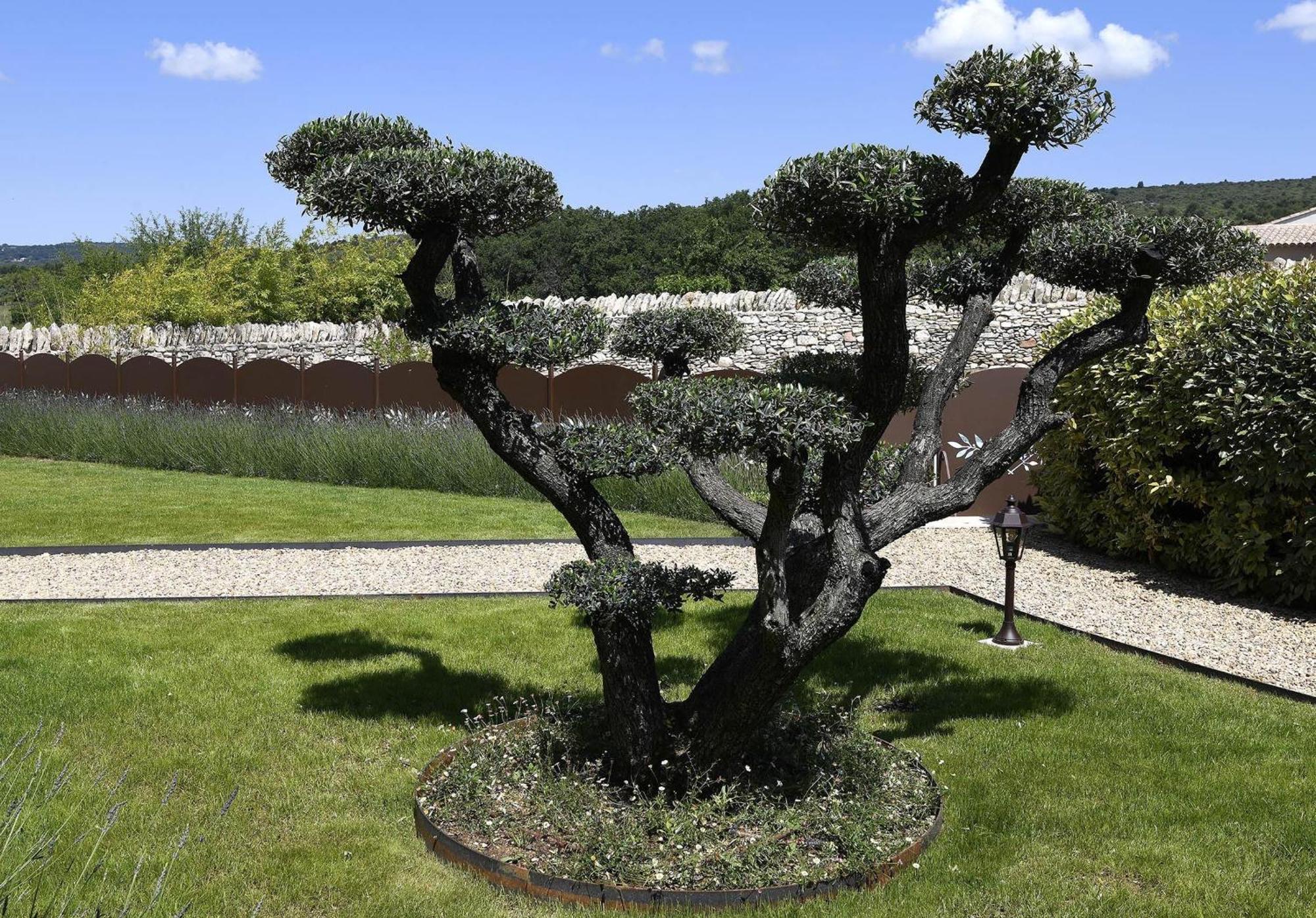 Bed and Breakfast Bastide Des Demoiselles Русийон Экстерьер фото
